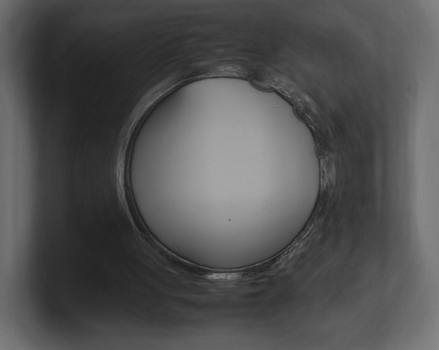 X0000101220051200806270933