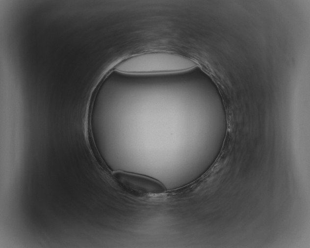 X0000101220052200806270933