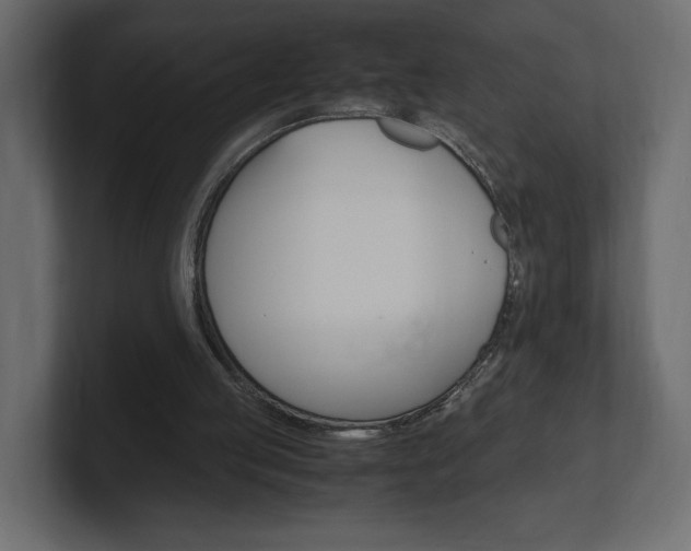 X0000101220053200806270933