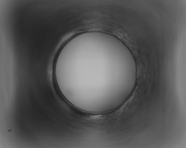 X0000101220054200806270933