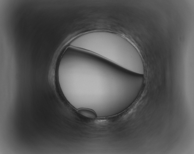 X0000101220055200806270933