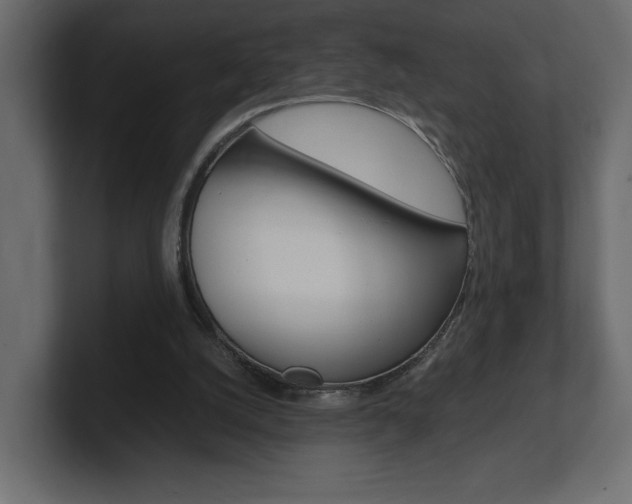 X0000101220056200806270933