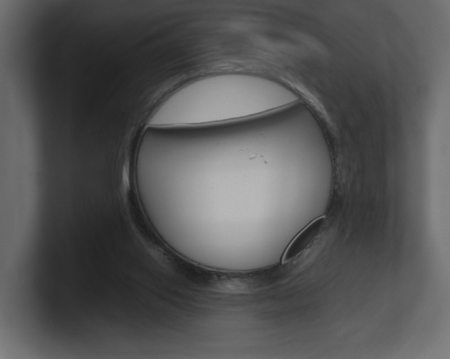 X0000101220062200806270933
