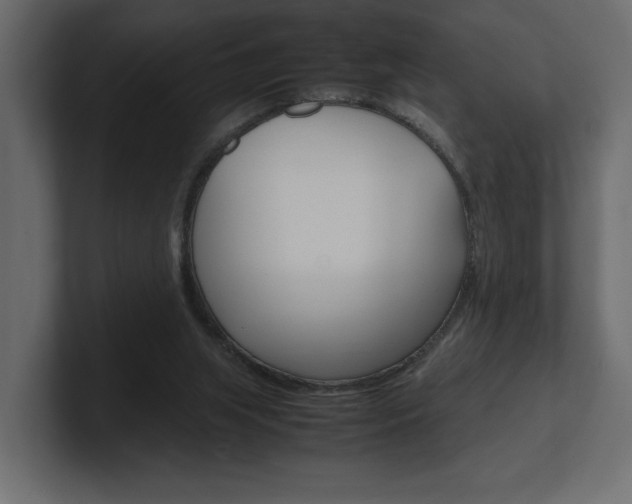 X0000101220063200806270933
