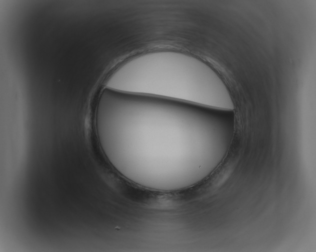 X0000101220064200806270933