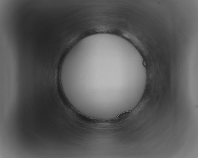 X0000101220066200806270933