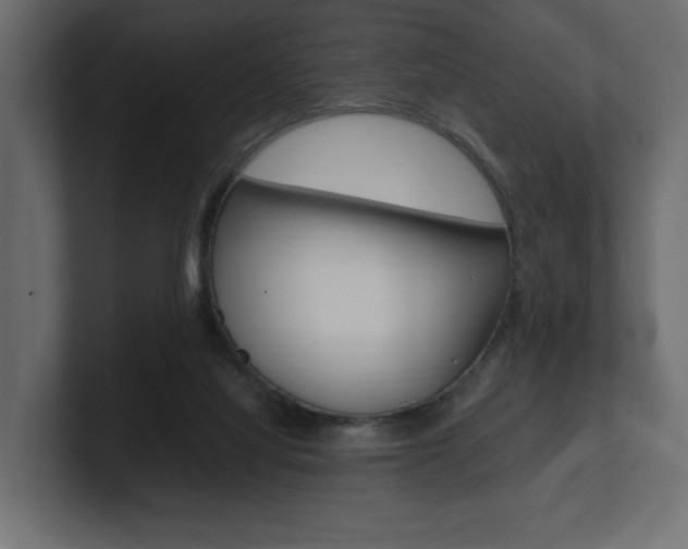 X0000101220068200806270933