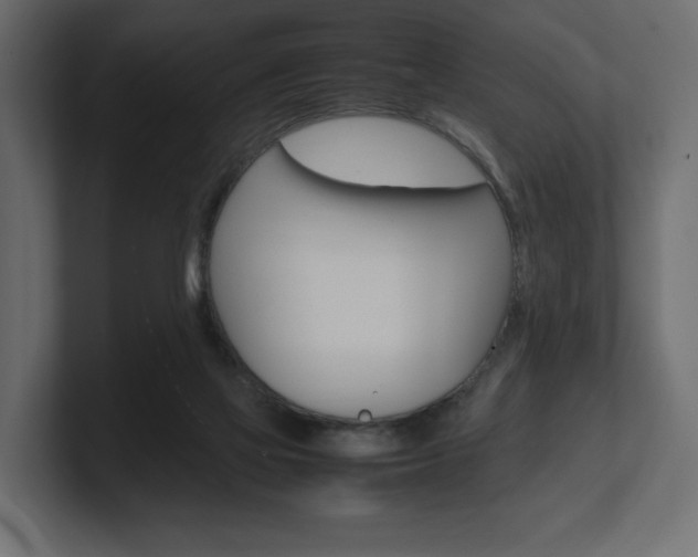 X0000101220069200806270933