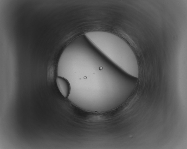 X0000101220071200806270933