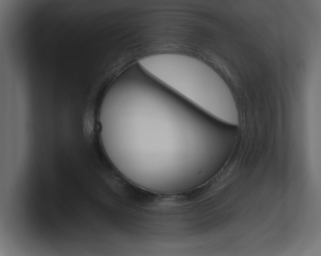 X0000101220072200806270933