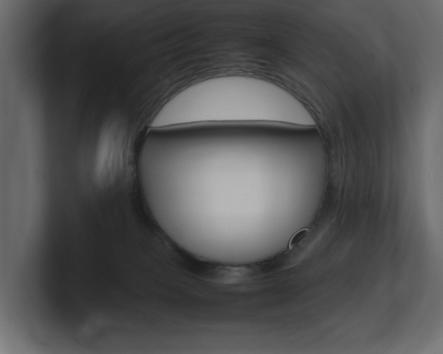 X0000101220085200806270933