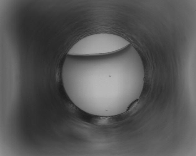 X0000101220090200806270933