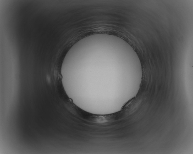 X0000101220091200806270933