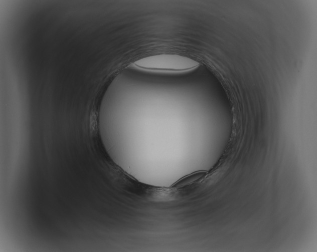 X0000101220096200806270933