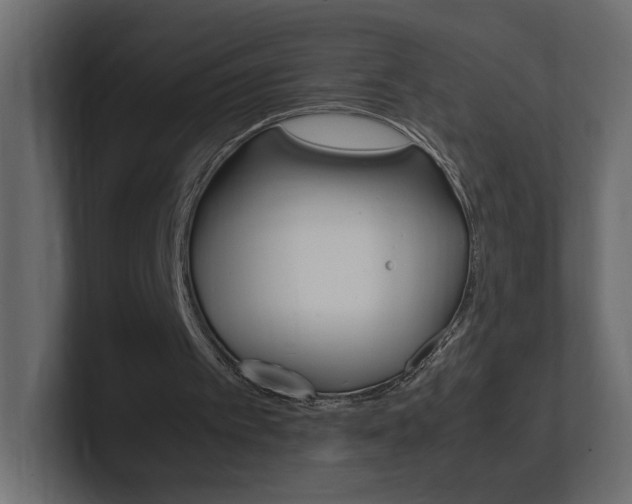 X0000101220097200806270933