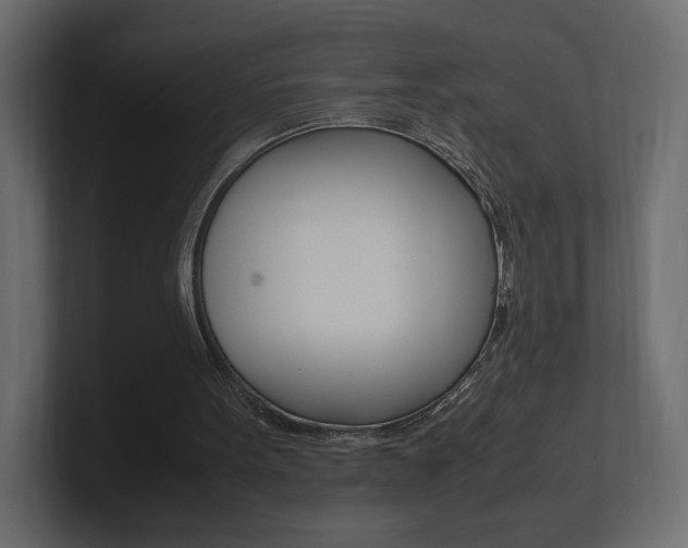 X0000101220099200806270933
