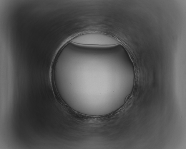 X0000101220100200806270933