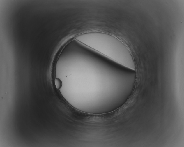 X0000101220104200806270933