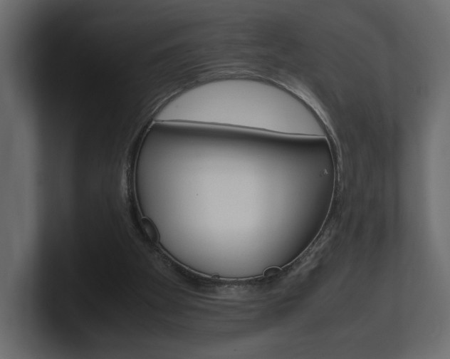 X0000101220105200806270933