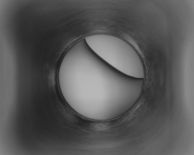 X0000101220106200806270933