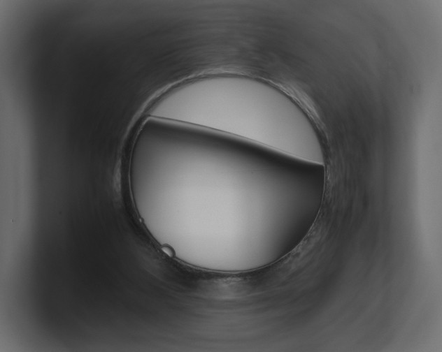 X0000101220108200806270933