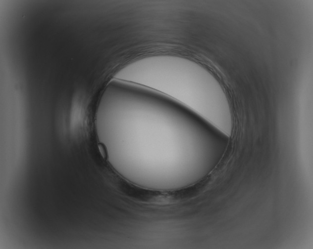 X0000101220119200806270933