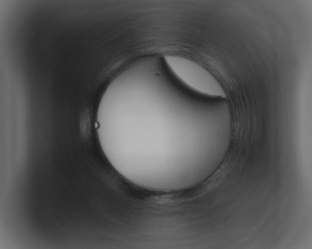 X0000101220120200806270933