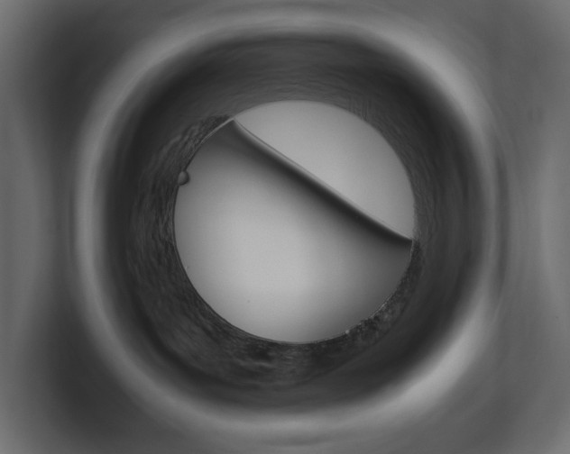 X0000101220143200806270932
