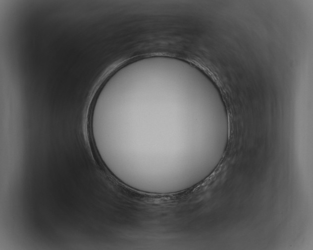 X0000101220147200806270932