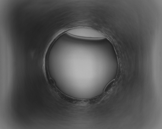 X0000101220148200806270932