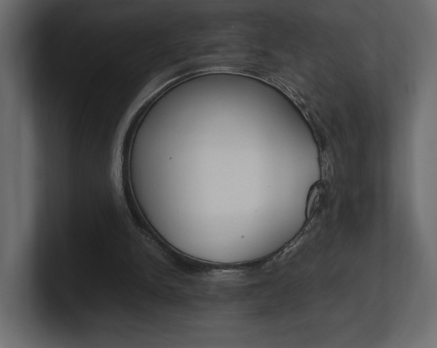 X0000101220150200806270932