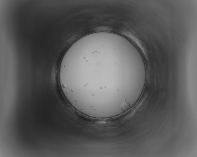 X0000101220153200806270932