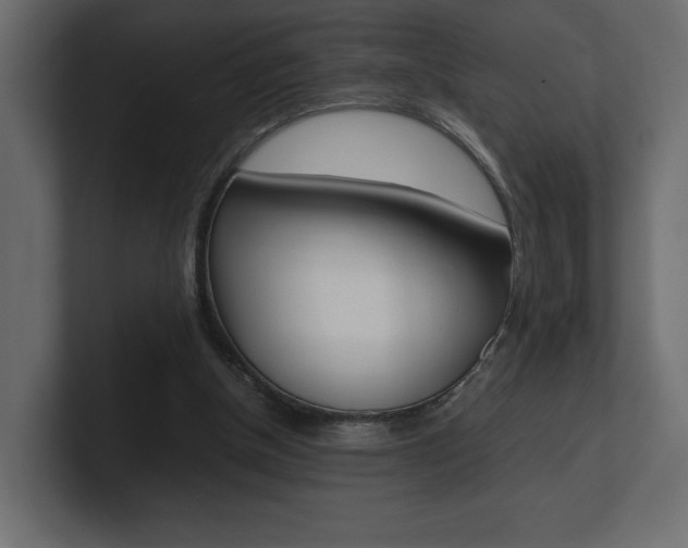 X0000101220154200806270932