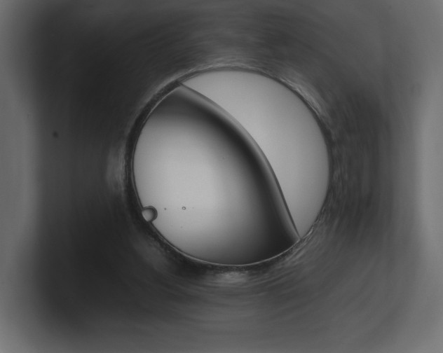 X0000101220156200806270932