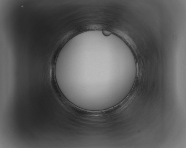 X0000101220157200806270932