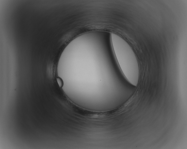 X0000101220168200806270932