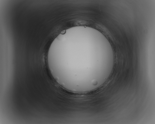 X0000101220169200806270932