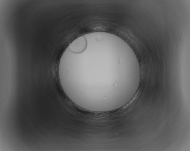 X0000101220175200806270932