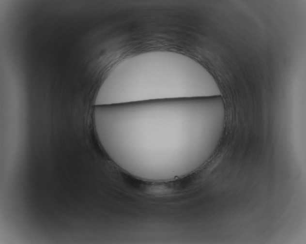 X0000101220177200806270932