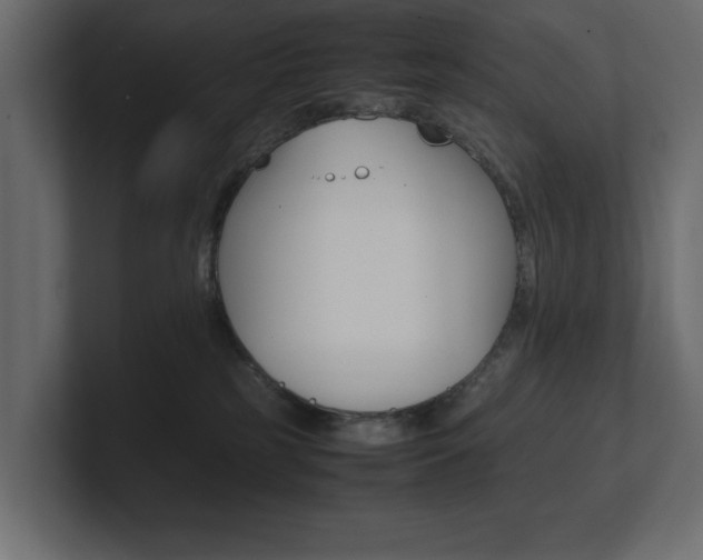 X0000101220185200806270932