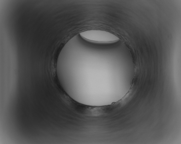 X0000101220186200806270932