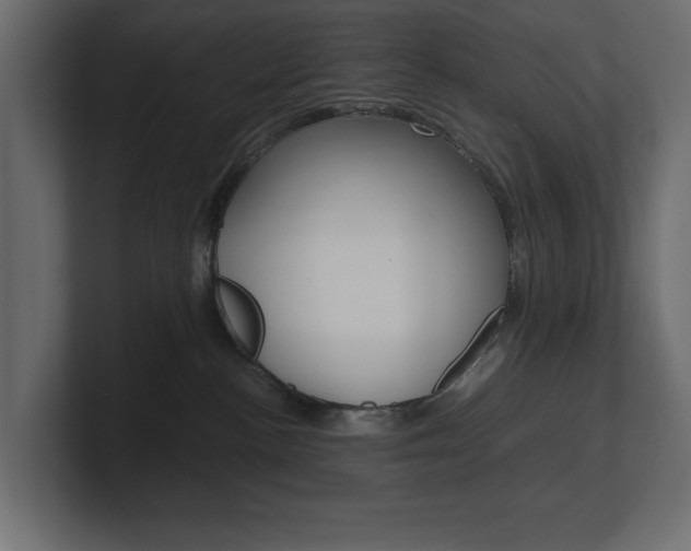 X0000101220188200806270932
