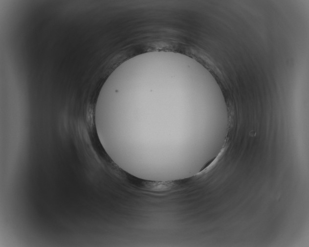 X0000101220191200806270932