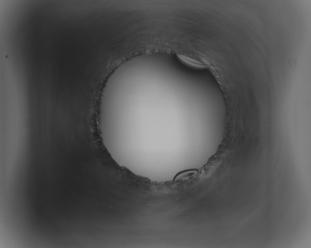 X0000101220192200806270932