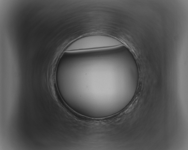 X0000101220193200806270932