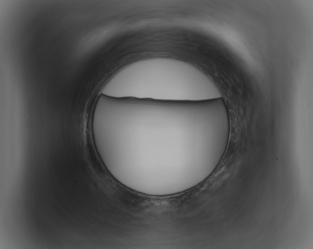 X0000101220194200806270932