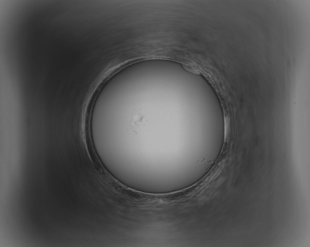 X0000101220195200806270932