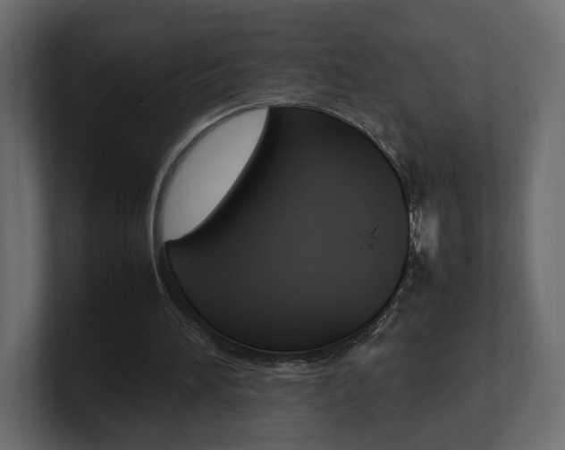 X0000101220196200806270932