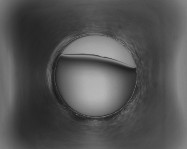 X0000101220197200806270932
