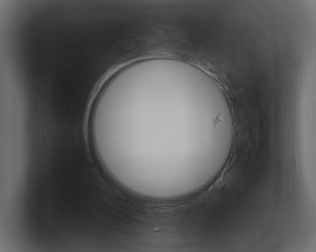 X0000101220200200806270931